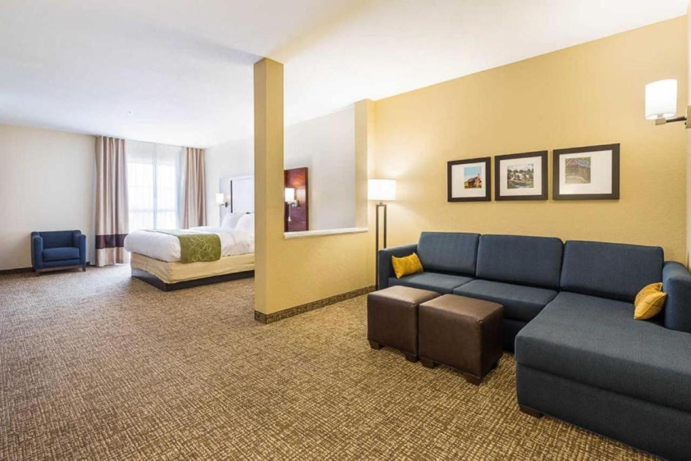 Comfort Suites Greenville South Piedmont Extérieur photo